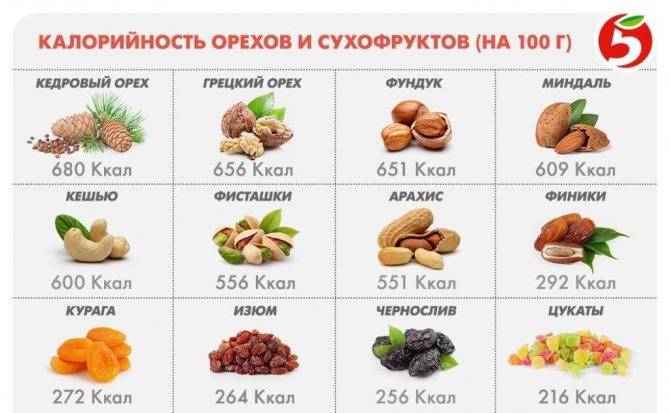 Как правильно есть очищенные грецкие орехи: когда полезно кушать натощак, можно ли запивать, в какое время лучше употреблять, в чем польза ежедневного приема?