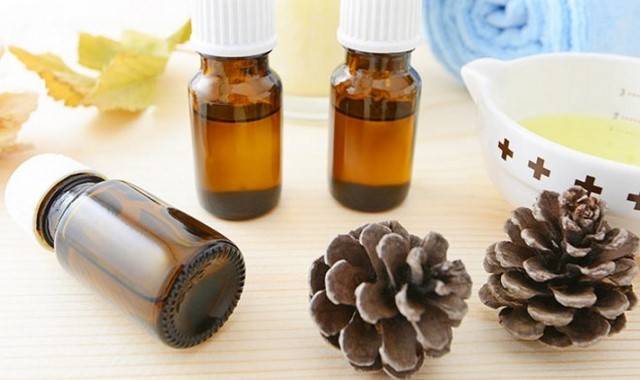 Кедровое масло: лечебные, полезные свойства и противопоказания, отзывы о применении