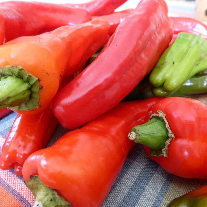 Перец фаршированный овощами — пошаговый рецепт с фото