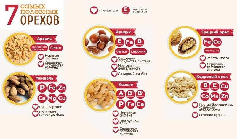 Орехи против повышенного холестерина