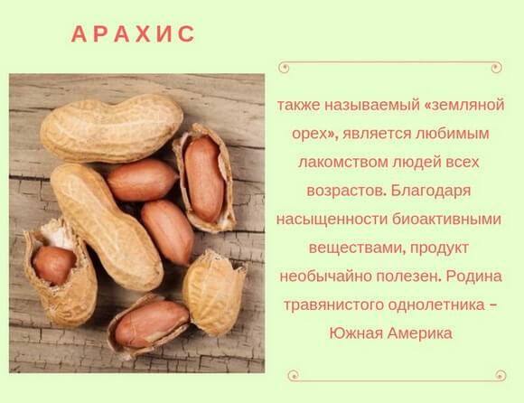 Арахис: польза и вред земляного ореха