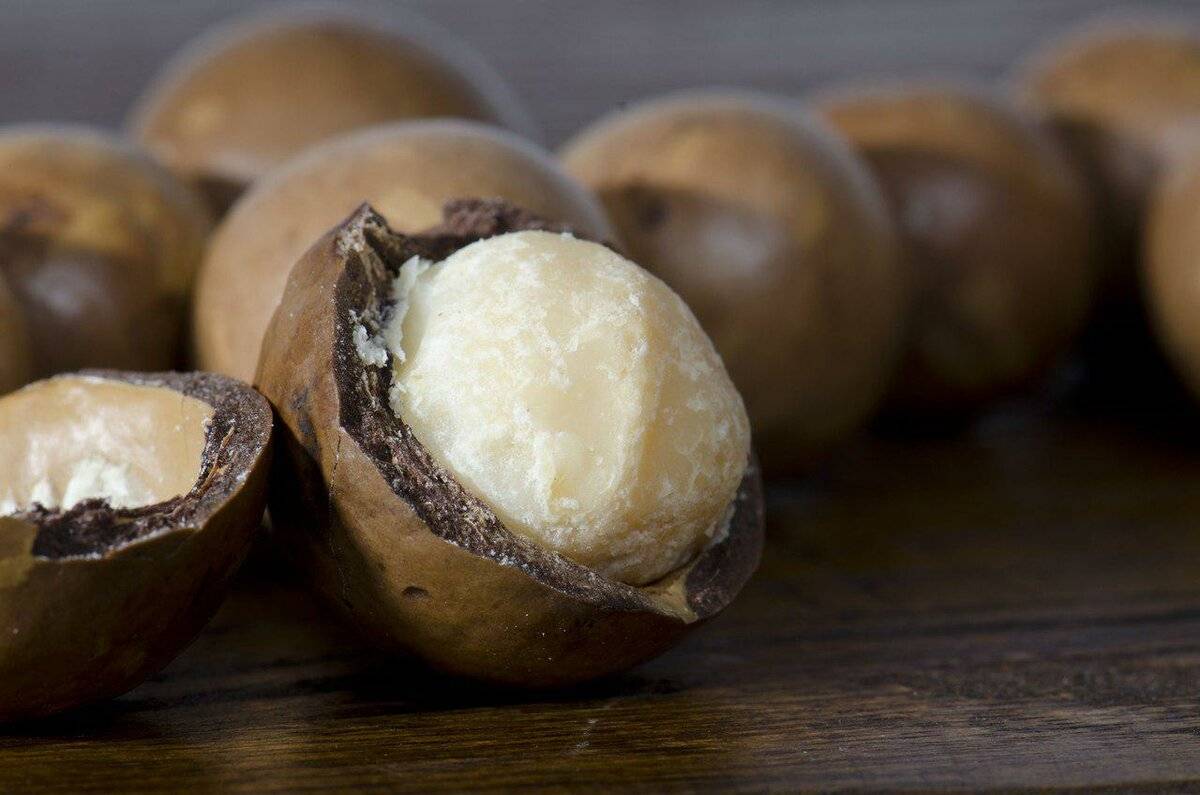 Орех макадамия и его полезные свойства для организма