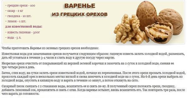 Скорлупа грецкого ореха: лечебные свойства, противопоказания, применение, рецепты