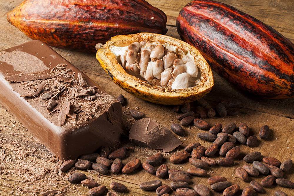 Какао: что это такое, виды, состав и полезные свойства, фото