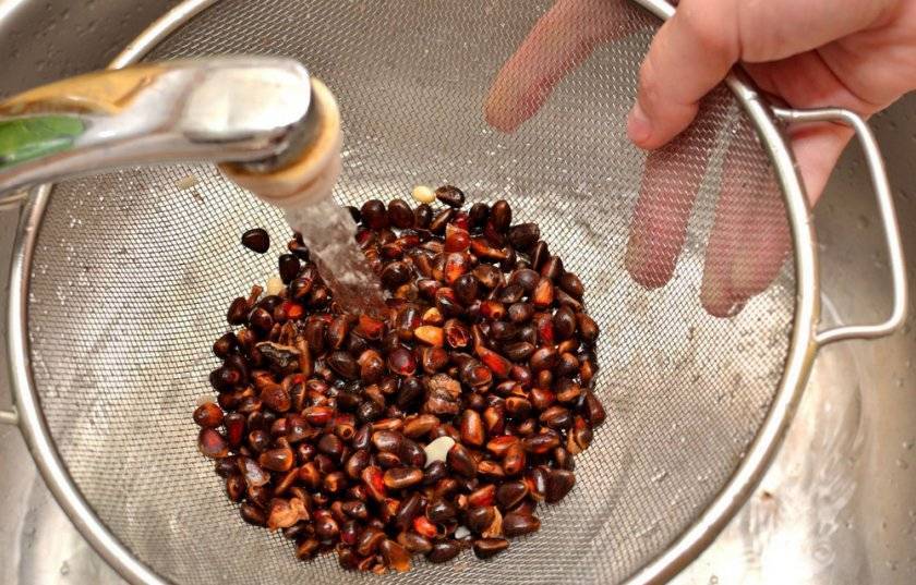 Как хранить кедровые орехи: в скорлупе, очищенные, в шишках, срок годност при хранении в домашних условиях
