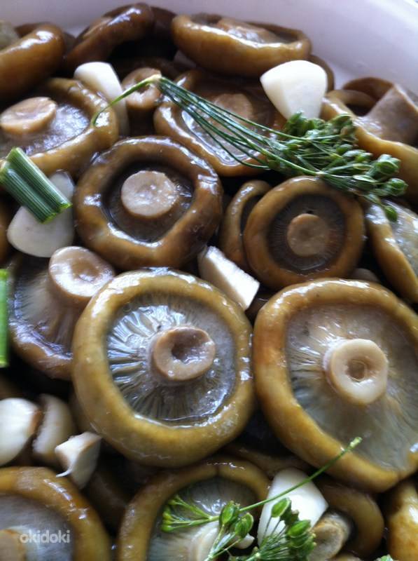 Горячая засолка грибов на зиму в банках рецепт с фото пошагово - 1000.menu