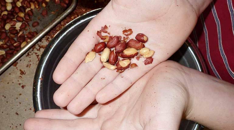 Как очистить арахис от шелухи и скорлупы, как хранить его в домашних условиях и фото