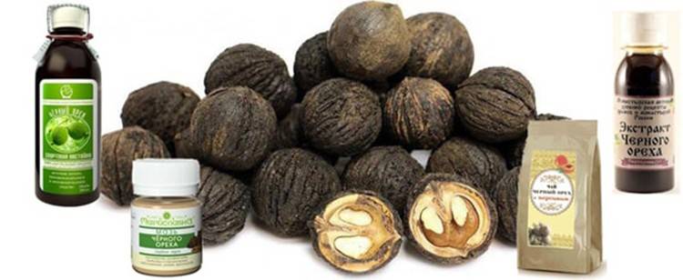 Черный орех полезные свойства и противопоказания