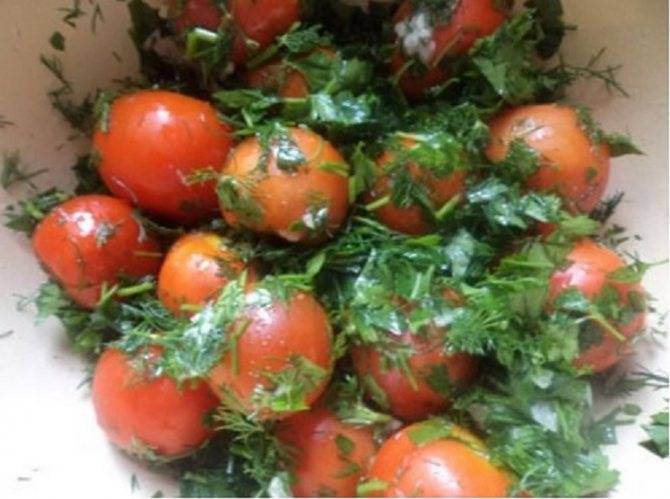 Рецепты домашних малосольных помидор быстрого приготовления