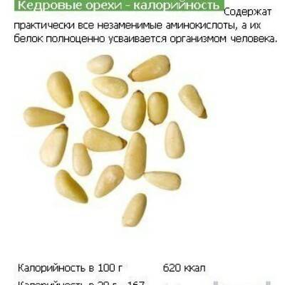 Вред, польза, калорийность кедровых орехов на 100 г