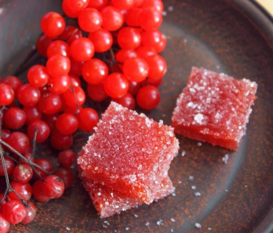Что сделать из калины - полезные свойства ягоды и как готовить варенье, пастилу, квас или компот