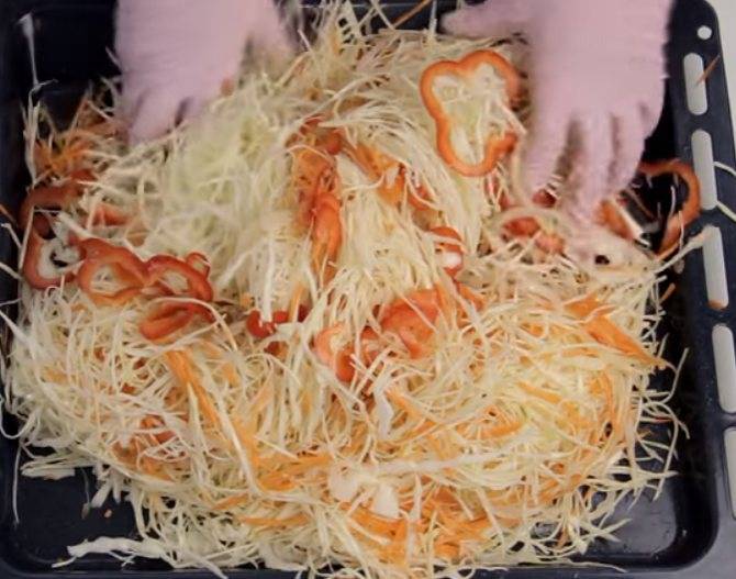 Салат из капусты на зиму - простые рецепты вкусных салатов