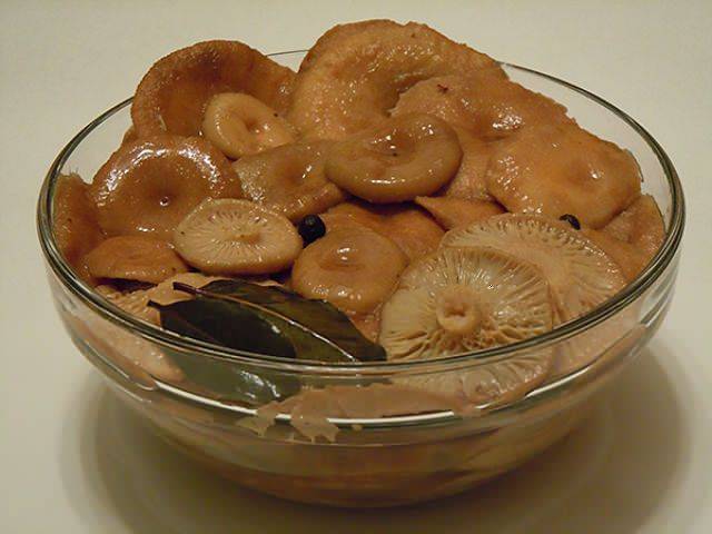 Волжанки соленые на зиму рецепт. рецепт: соленые волнушки (горячий способ) — консервация на зиму. как приготовить волнушки на зиму холодным способом