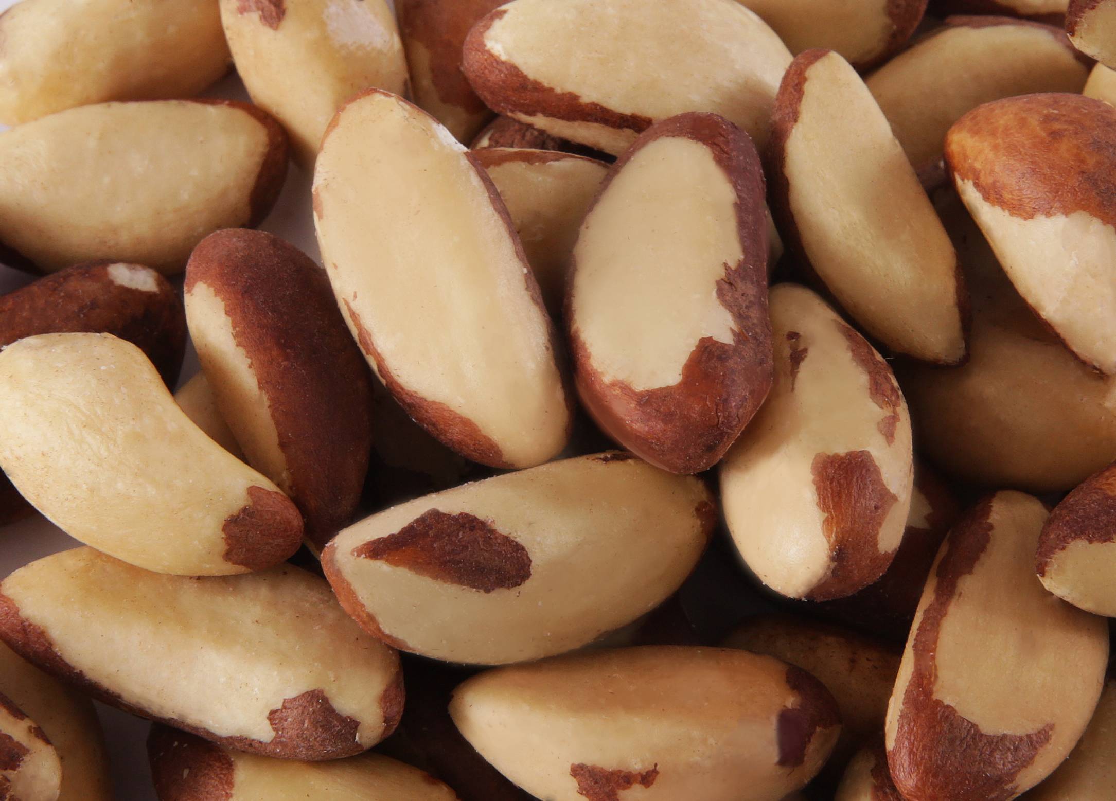 Чем полезен бразильский орех – уникальный продукт на нашем столе