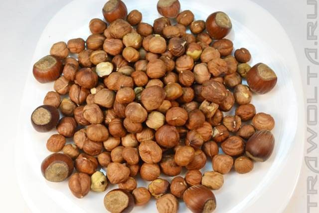 Лесной орех (фундук): польза и вред, применение, лечебные свойства