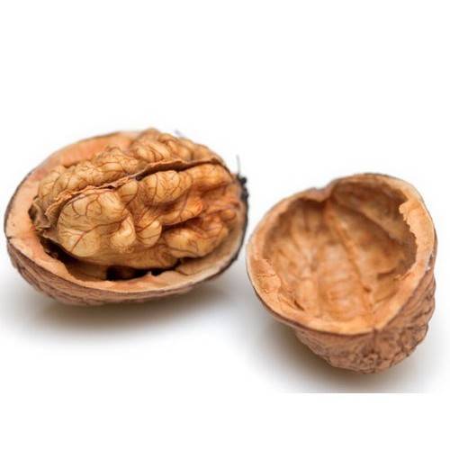 Топ рецептов из полезной скорлупы грецкого ореха — как и для чего применять? химический состав и советы