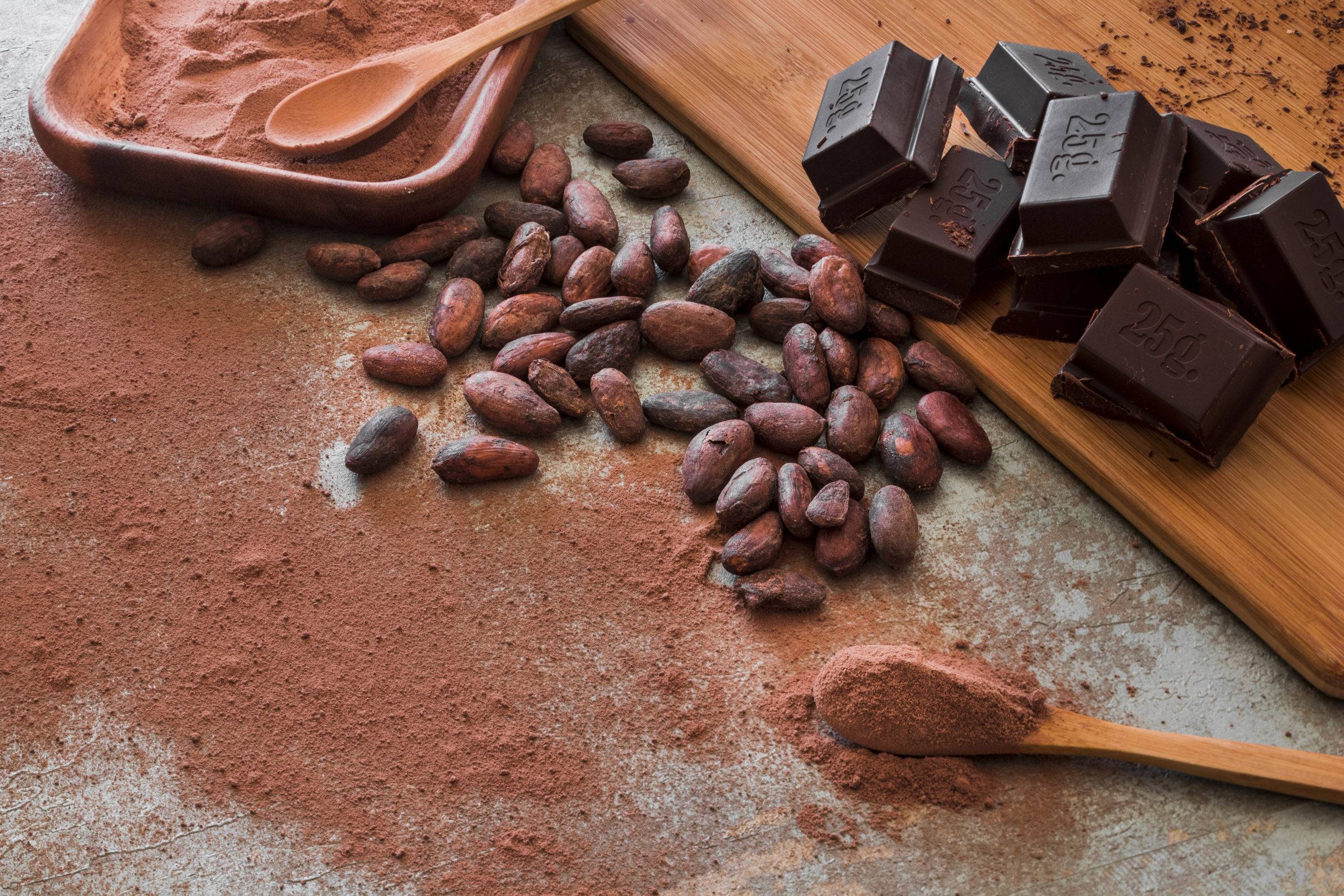 Польза какао бобов для организма