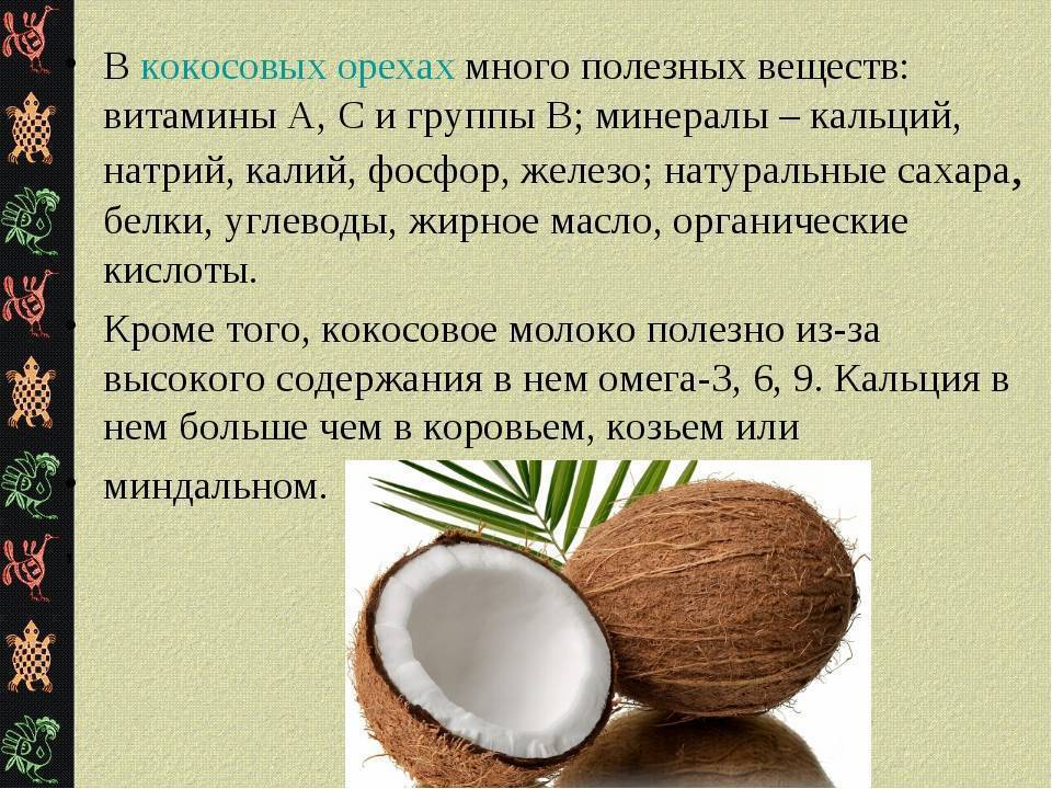 Польза и вред кокосового молока: как сделать и вкусные рецепты