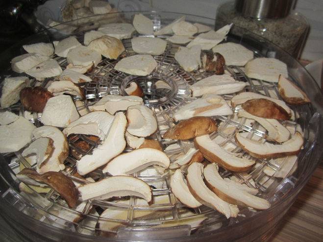 Как правильно сушить грибы