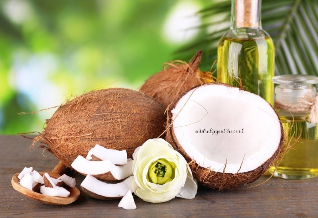 Польза и вред кокосового масла для лица