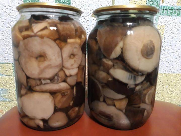 Соленые маслята лучшие рецепты - грибы собираем