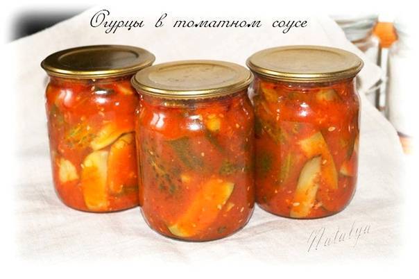 Самые вкусные рецепты засолки огурцов в томатном соусе на зиму