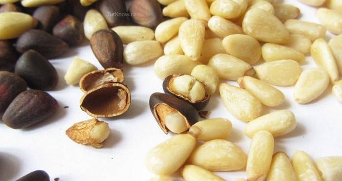 Жмых кедрового ореха: полезные свойства, рецепты, калорийность, отзывы