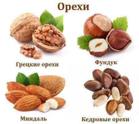 Особенности употребления при подагре грецких орехов: можно ли или нельзя есть и насколько это полезно?