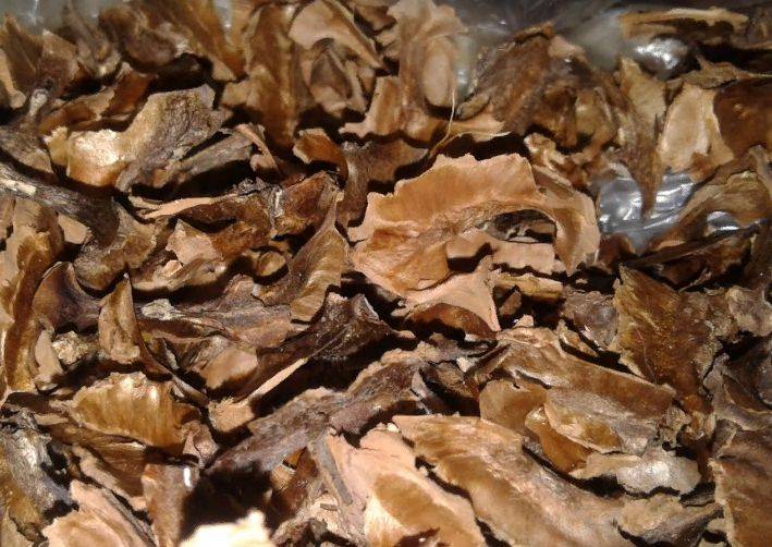 Чем полезна зеленая кожура грецкого ореха? её состав, лечебные свойства и применение