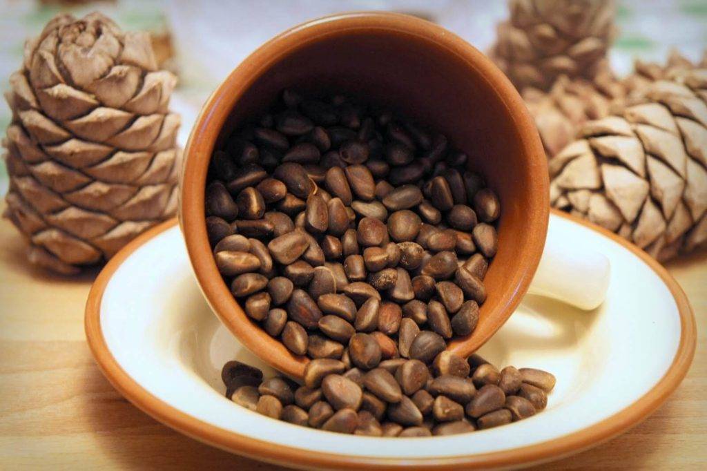 Кедровые орехи польза и вред для организма сколько нужно съесть