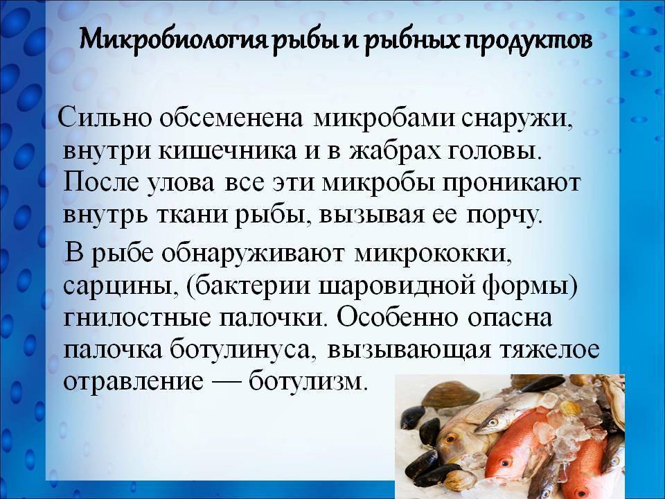5 признаков того, что консервы нужно выкинуть / ботулизм — смертельная опасность в домашних заготовках – статья из рубрики "как хранить" на food.ru