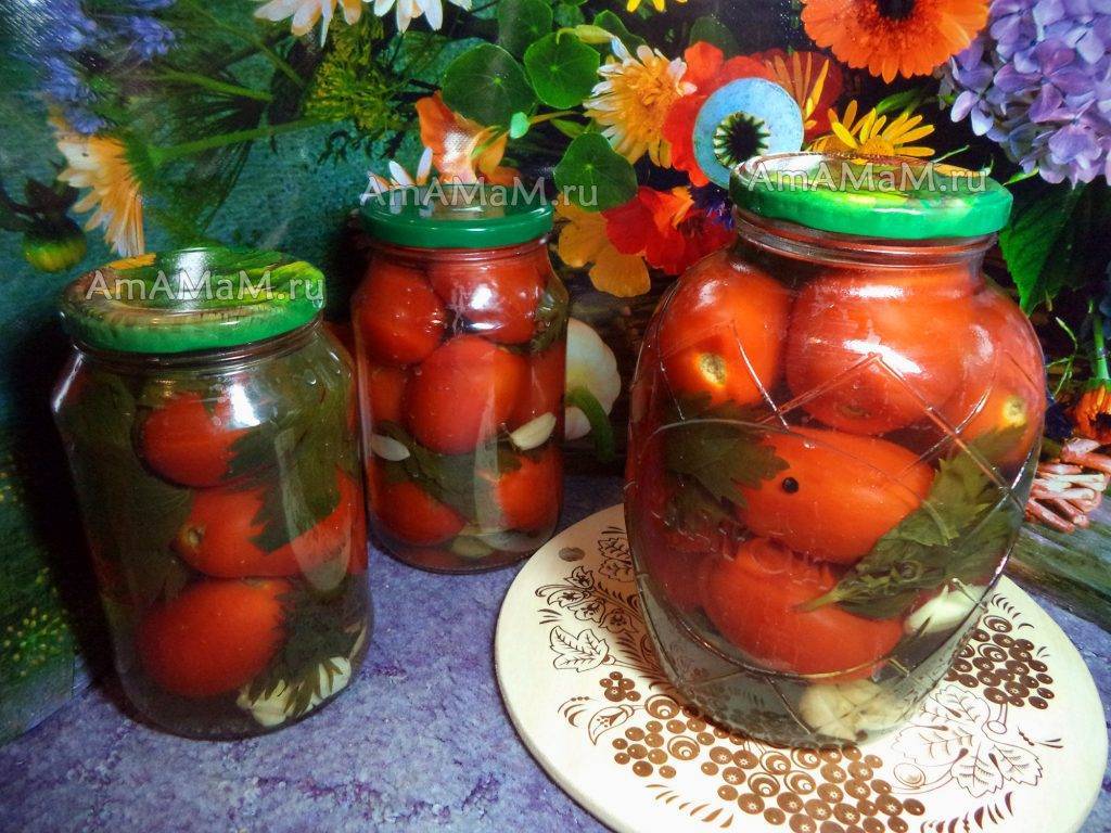 Помидоры, маринованные с луком и сельдереем. помидорчики - 7