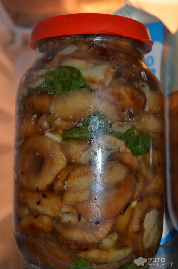 Как солить шампиньоны на зиму в домашних условиях: рецепты соления, как вкусно посолить грибы горячим, холодным способом