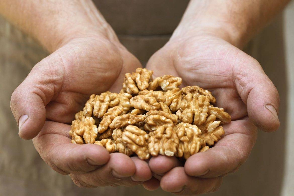 Какие орехи самые полезные для мужчин: свойства для организма