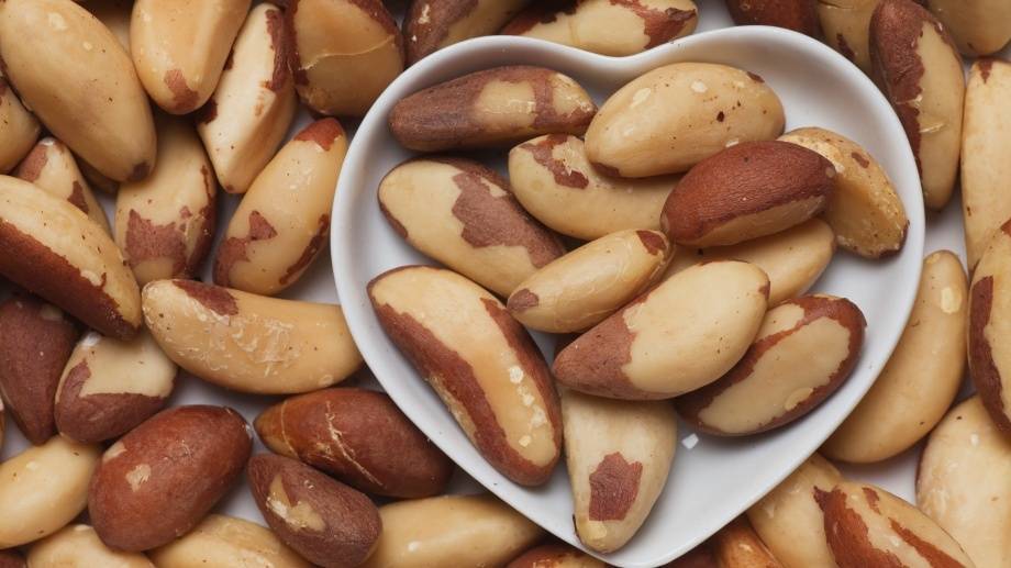 Польза, лечебные свойства и противопоказания к употреблению бразильского ореха