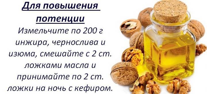 Польза сметаны и грецких орехов для мужчин, рецепт. мужской сайт mensweekly.ru