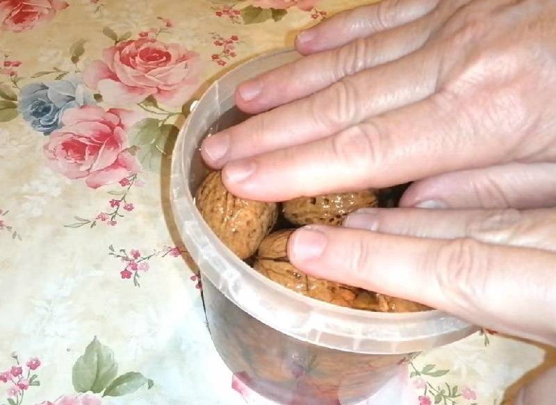 Как вырастить грецкий орех из орешка – дачные дела