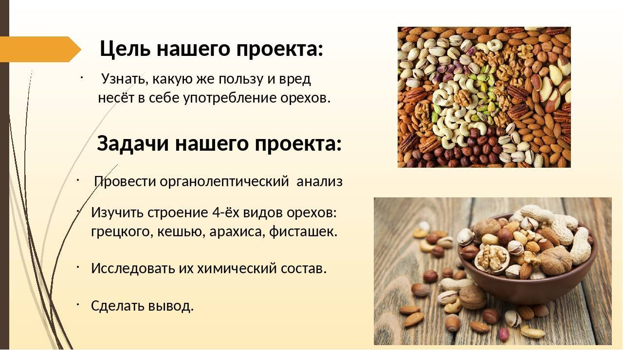 Грецкий орех: польза и вред