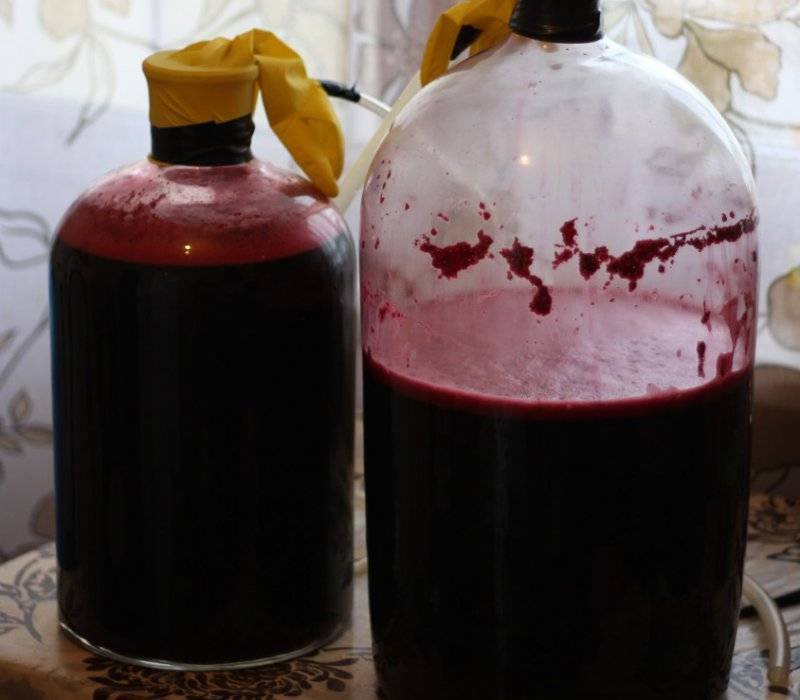 Вино из забродившего варенья - простые пошаговые рецепты для приготовления в домашних условиях