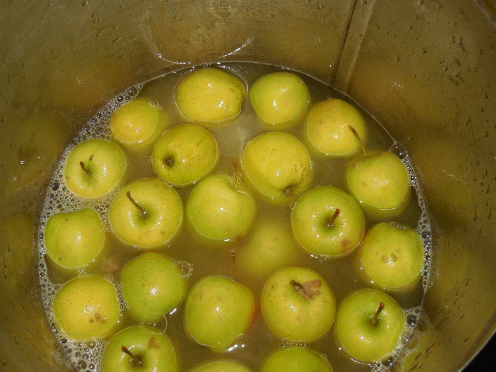 Рецепт воды с яблоками. Яблоки моченые 1кг. Яблоня Антоновка моченые. Моченые яблоки Антоновка. Яблоки моченые в бочке Антоновка.