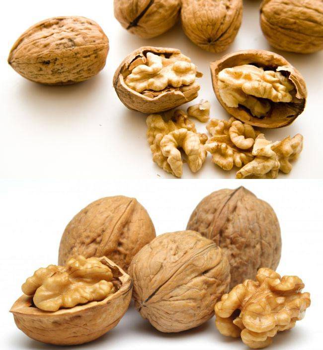 Чем полезен грецкий орех для мужчин и женщин. свойства и состав, польза и вред грецкого ореха