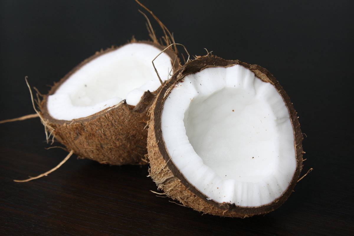 Как выглядит кокос испорченный и спелый, как правильно выбрать орех, как понять, что он испортился и определить, хороший плод или нет?