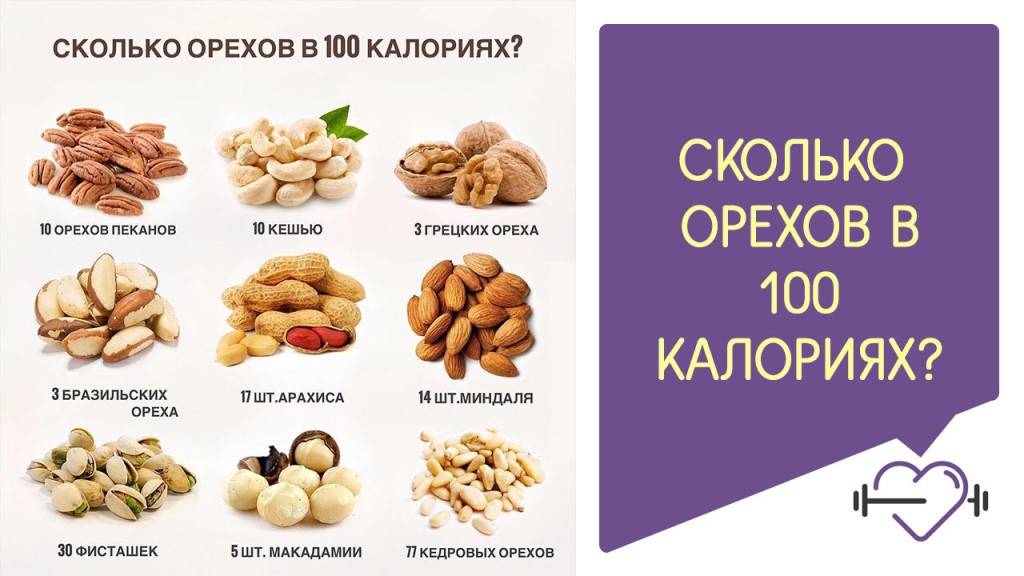Кедровые орехи: полезные свойства  и противопоказания, калорийность, состав