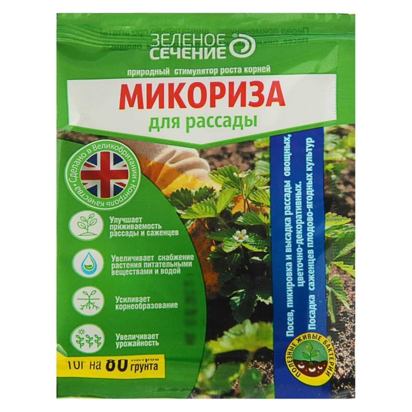 Преимущества использования микоризных грибов при посадке растений
