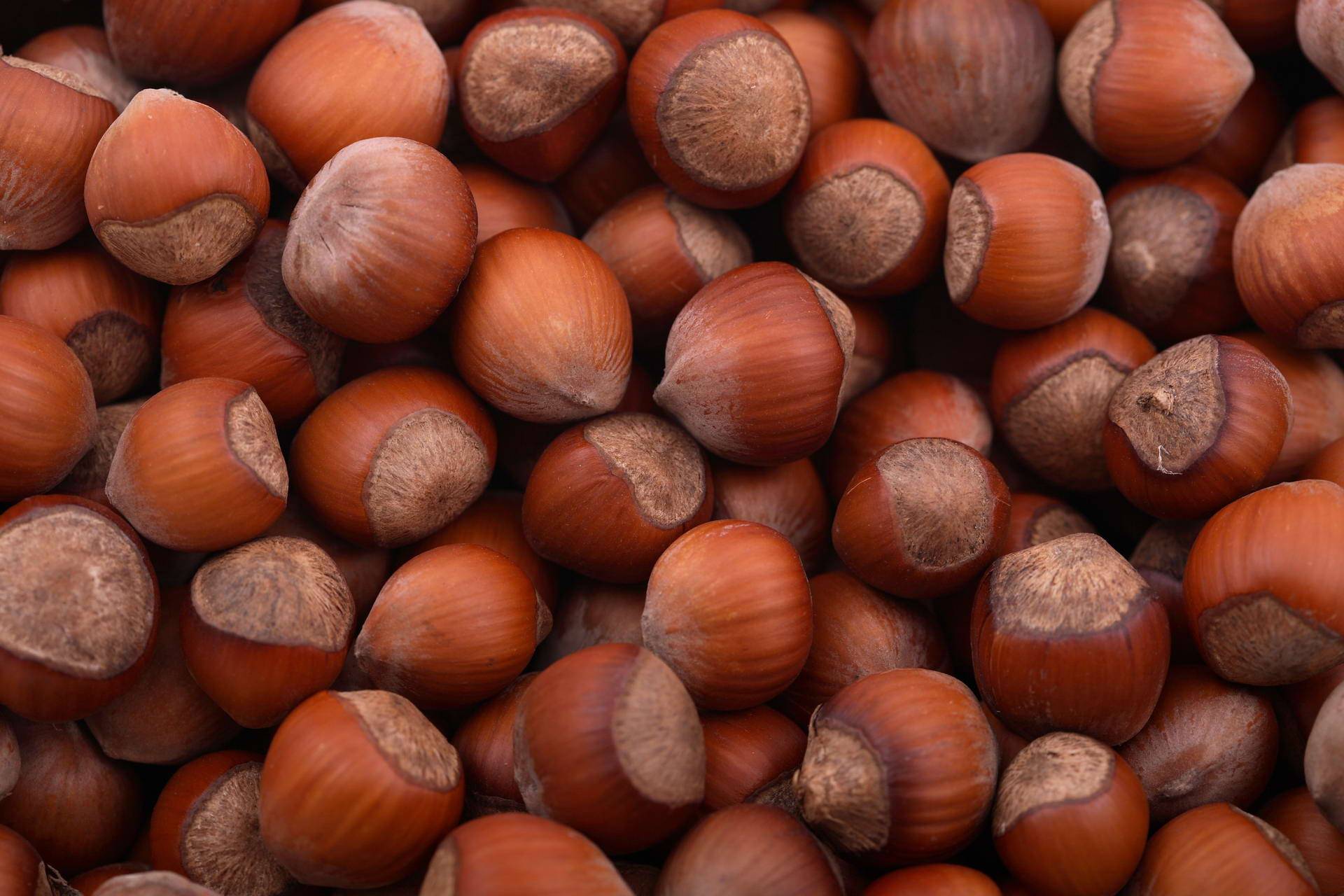 Фундук: польза и вред ореха для организма, состав и калорийность