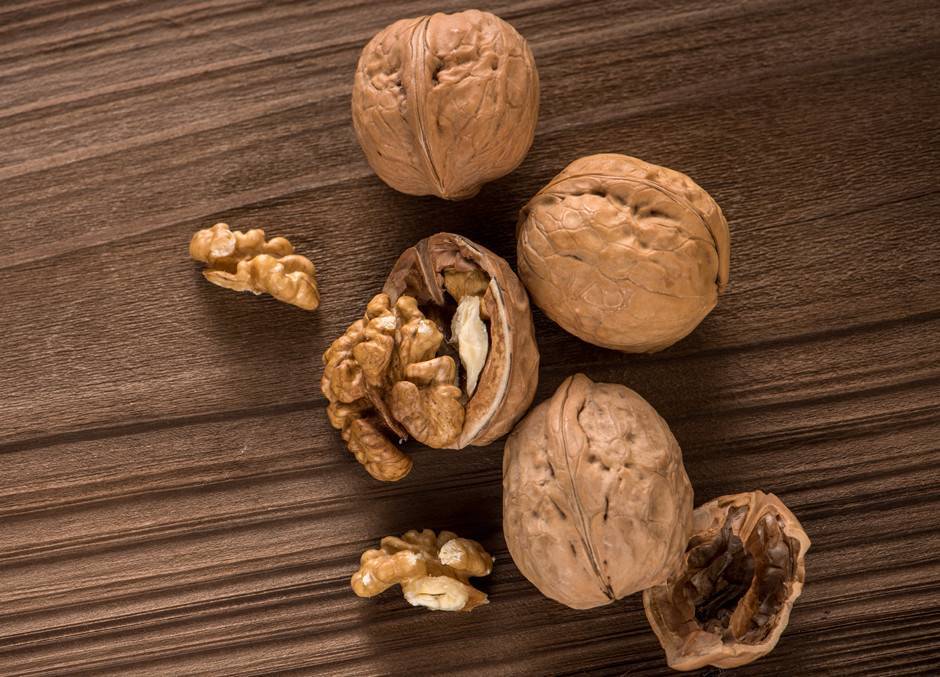 Грецкий орех польза и вред для организма мужчин и женщин лечебные свойства рецепты отзывы
