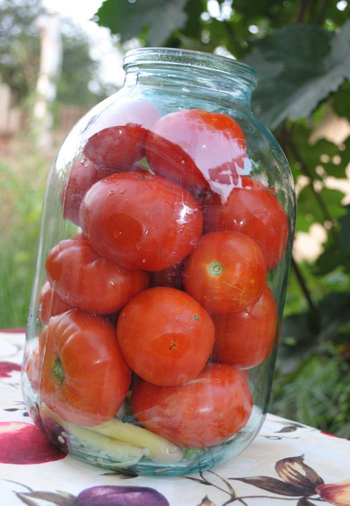Соленые помидоры: 10 вкусных и простых рецептов на зиму