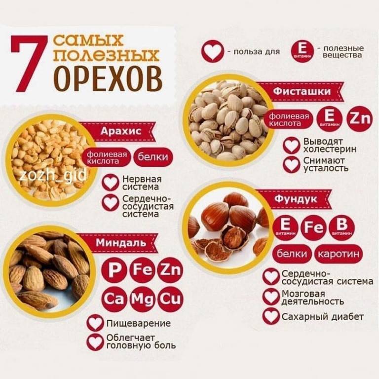 Какие орехи можно есть при похудении на диете - таблица калорийности, польза для женщин и состав