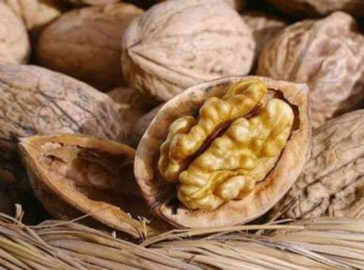 Грецкий орех - walnut
