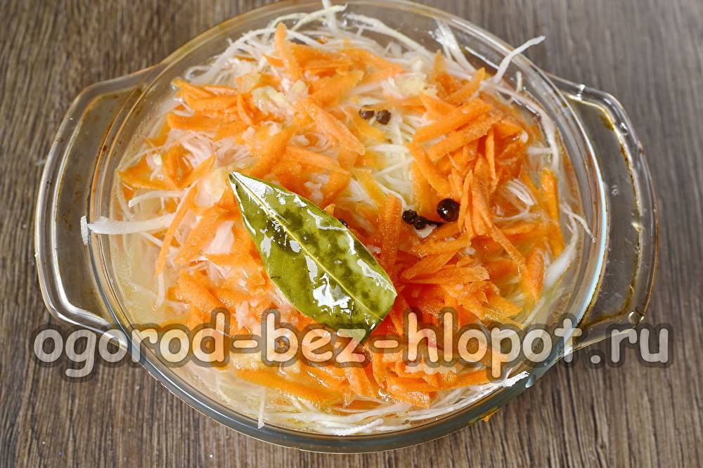 Суточная капуста рецепт с морковью и луком